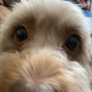 Meet your Posher, Mariah